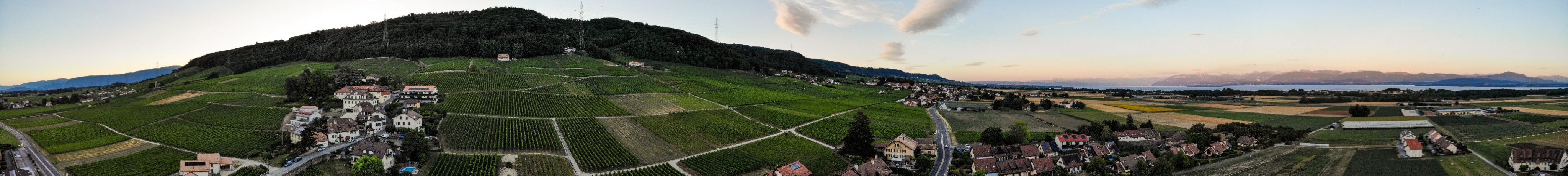 Panorama 15